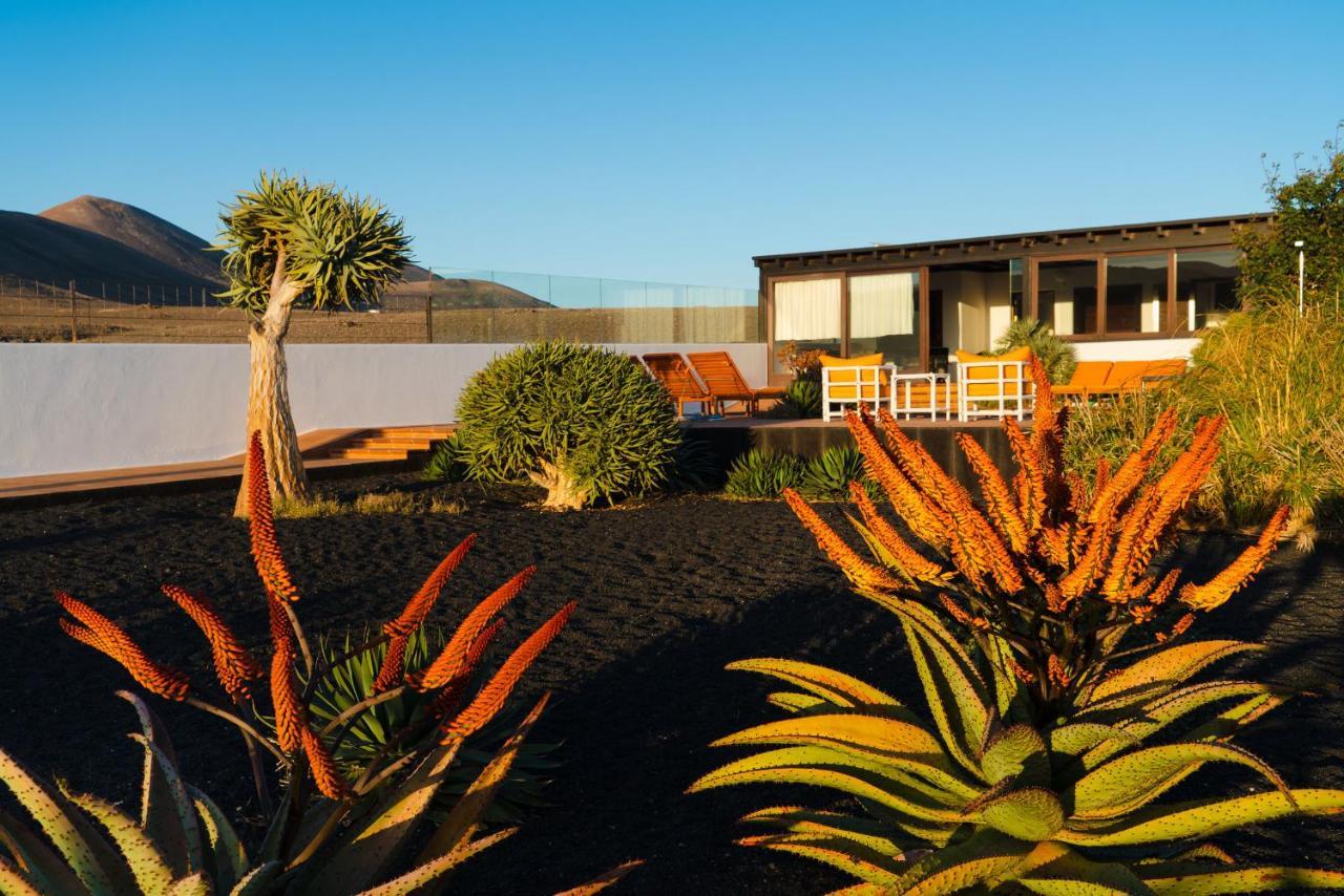 Villa Agave // Villa Cardon Puerto Calero Zewnętrze zdjęcie